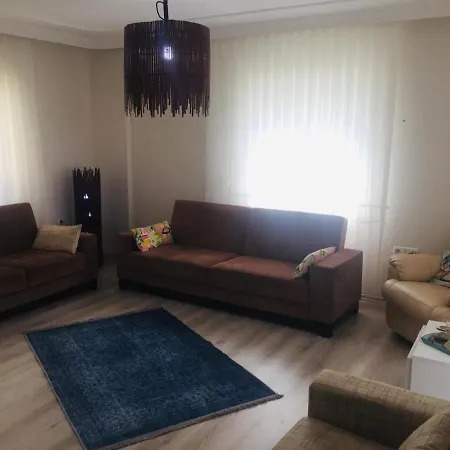 Nili Airport Villa *